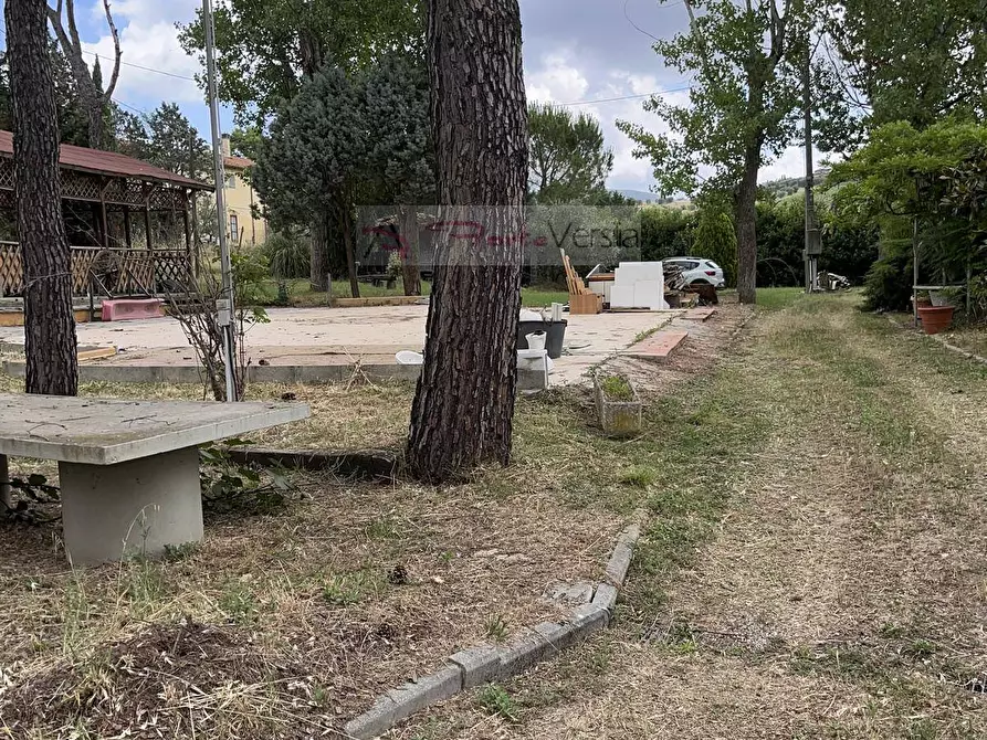 Immagine 14 di Terreno agricolo in vendita  a Vinci