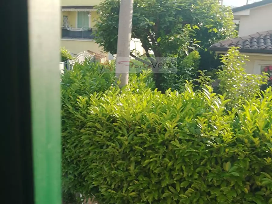 Immagine 28 di Villa in vendita  a Massa