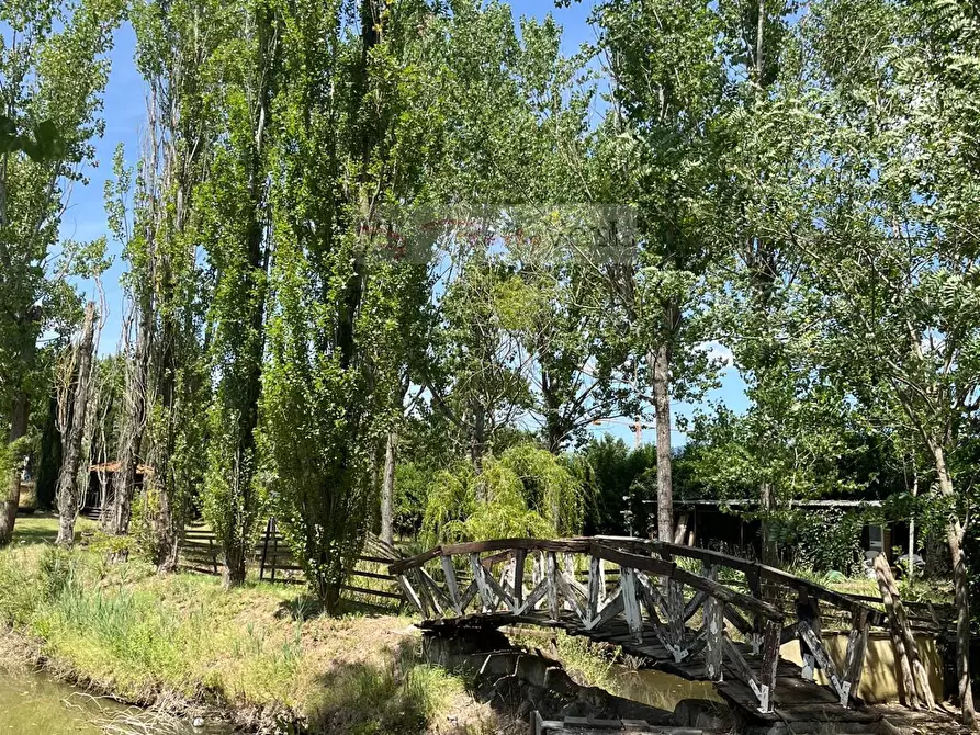 Immagine 16 di Terreno agricolo in vendita  a Vinci