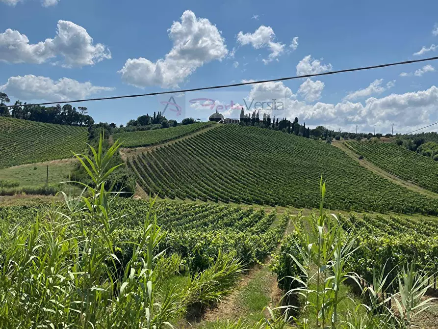 Immagine 8 di Terreno agricolo in vendita  a Vinci