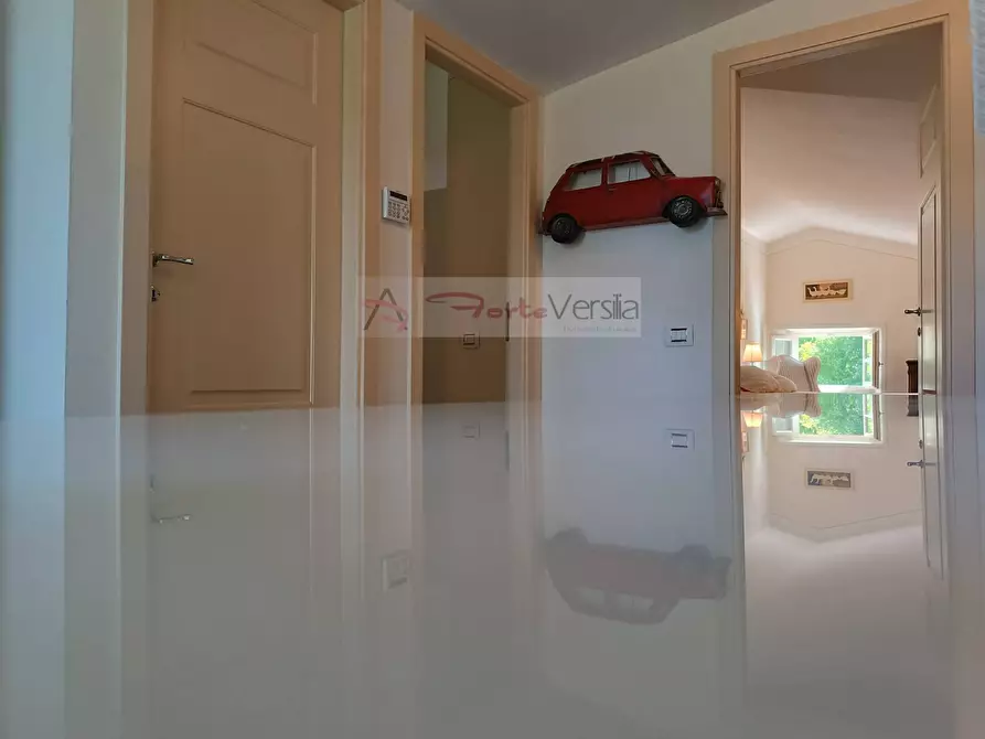 Immagine 50 di Villa in vendita  a Forte Dei Marmi