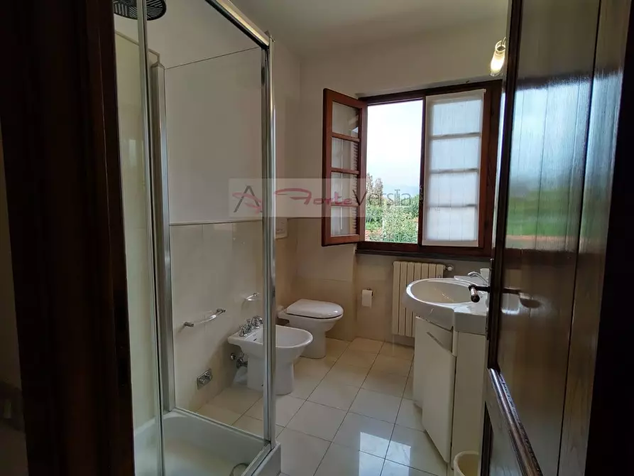 Immagine 34 di Villa in vendita  a Pietrasanta