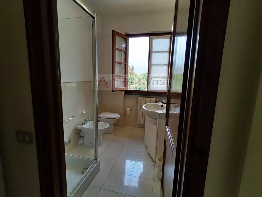 Immagine 38 di Villa in vendita  a Pietrasanta