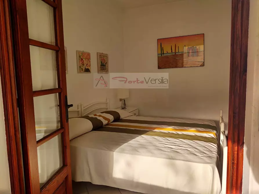 Immagine 44 di Villa in vendita  a Pietrasanta