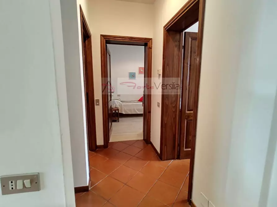Immagine 51 di Villa in vendita  a Pietrasanta