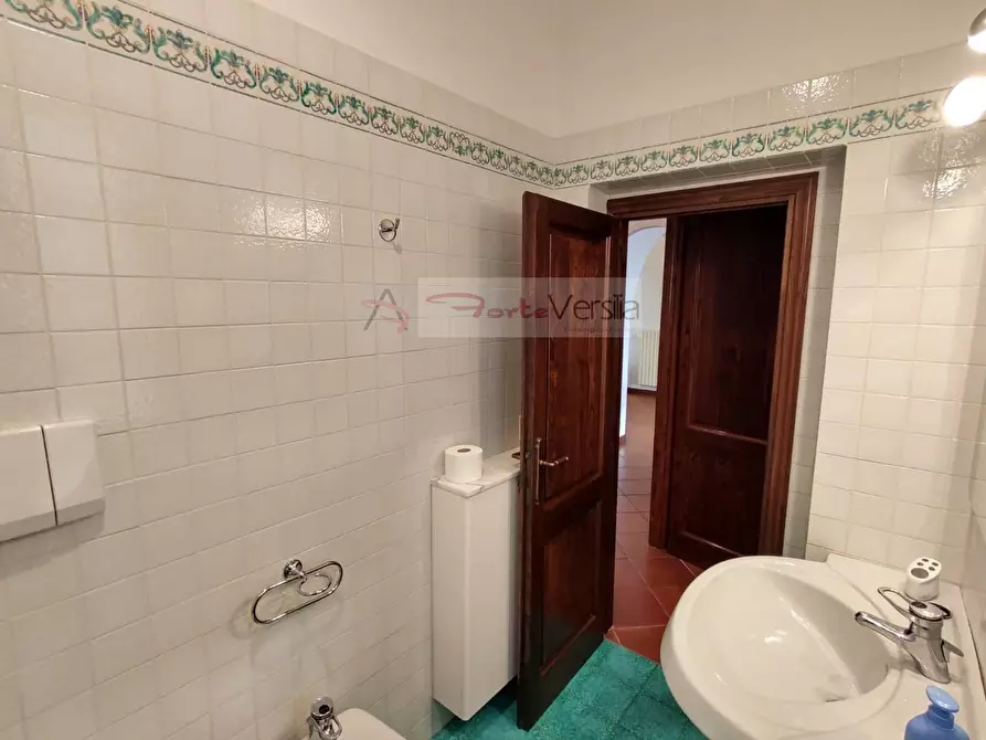 Immagine 54 di Villa in vendita  a Pietrasanta