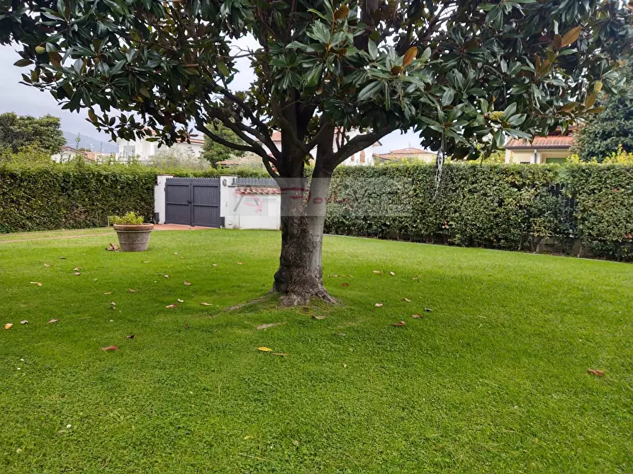Immagine 74 di Villa in vendita  a Pietrasanta
