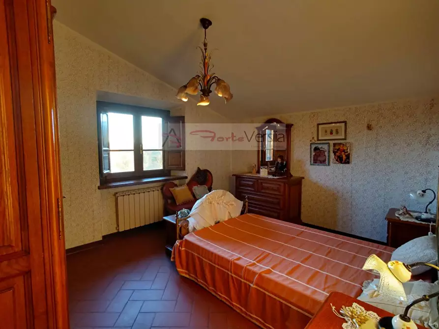 Immagine 22 di Rustico / casale in vendita  a Massarosa