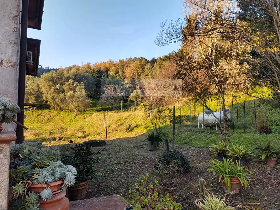 Immagine 3 di Rustico / casale in vendita  a Massarosa