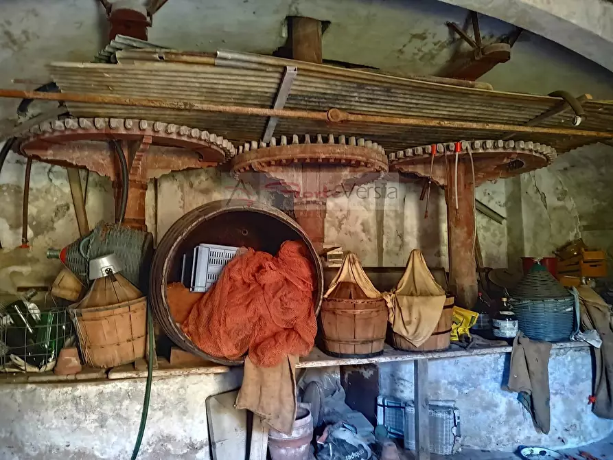 Immagine 4 di Rustico / casale in vendita  a Massarosa