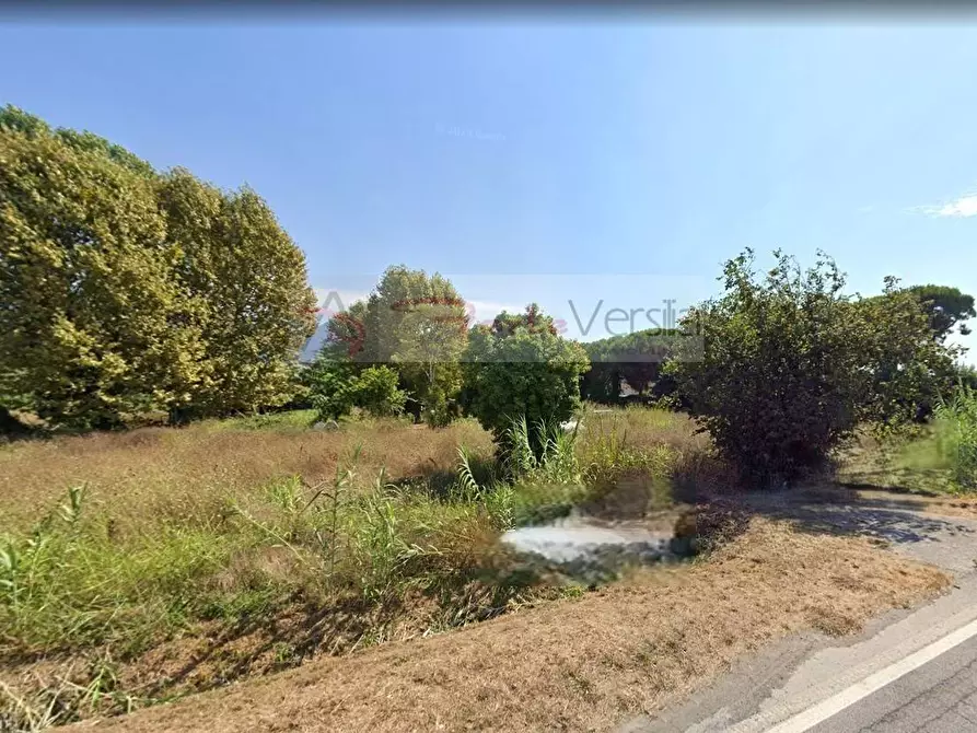 Immagine 4 di Terreno residenziale in vendita  a Pietrasanta