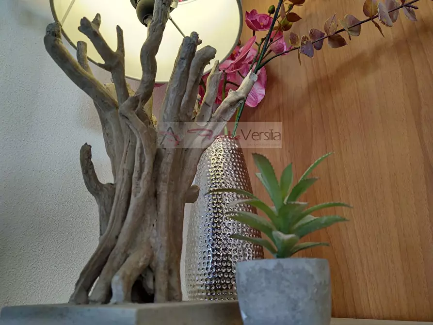 Immagine 33 di Villa in vendita  a Pietrasanta