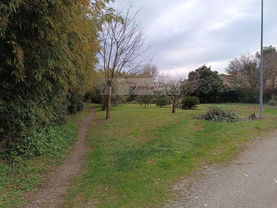 Immagine 22 di Villa in vendita  a Pietrasanta