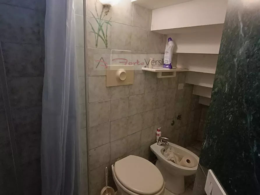 Immagine 10 di Villa in vendita  a Pietrasanta