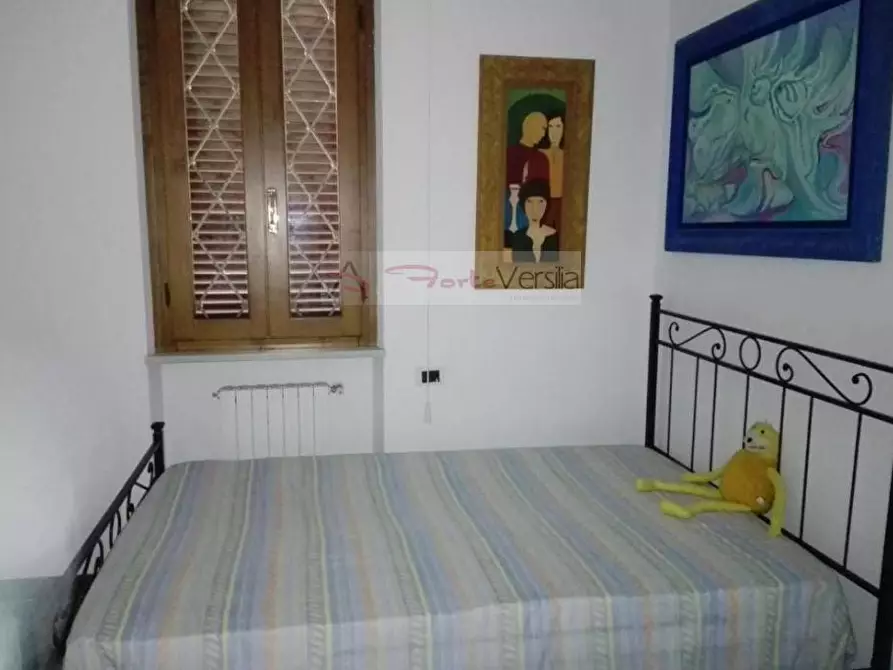 Immagine 15 di Villa in vendita  a Forte Dei Marmi