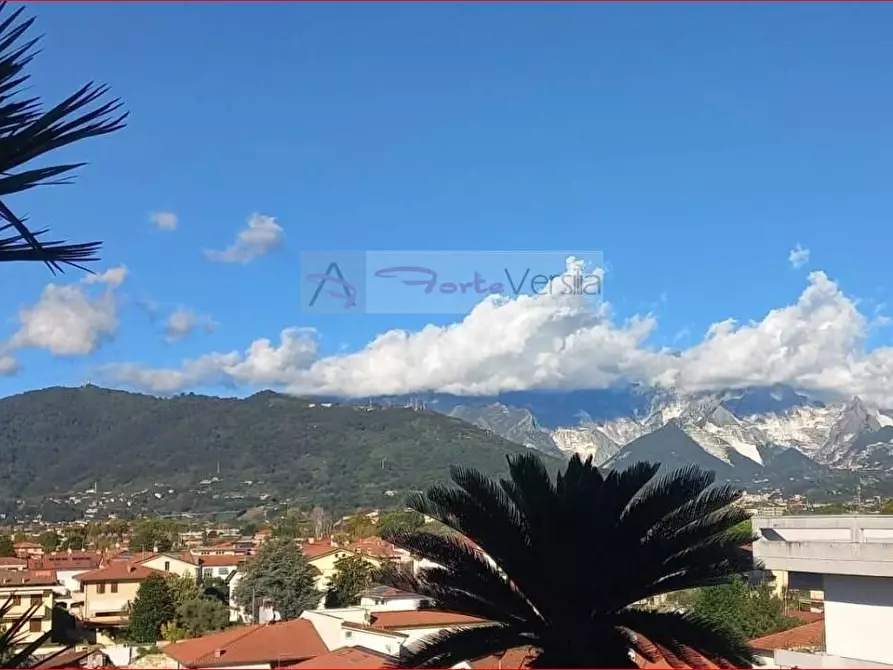 Immagine 11 di Appartamento in vendita  a Carrara
