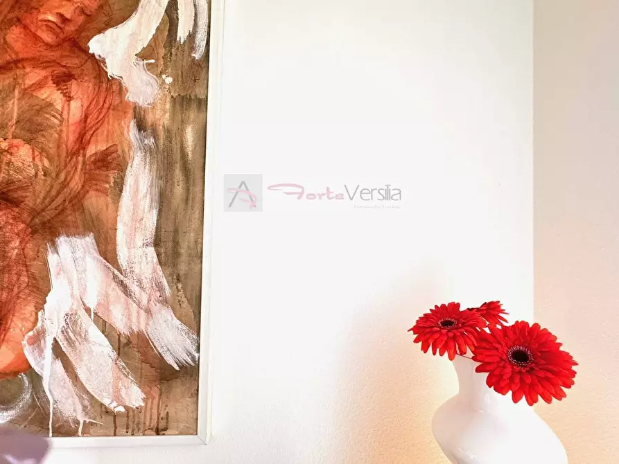 Immagine 2 di Casa semindipendente in vendita  a Forte Dei Marmi