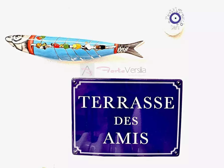 Immagine 11 di Casa semindipendente in vendita  a Forte Dei Marmi