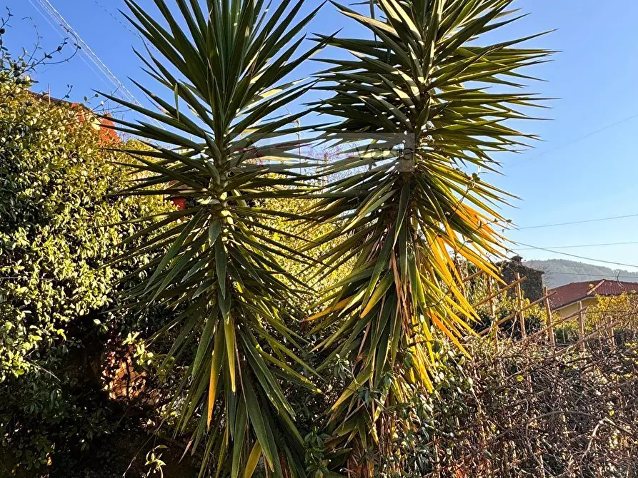 Immagine 39 di Casa semindipendente in vendita  a Montignoso