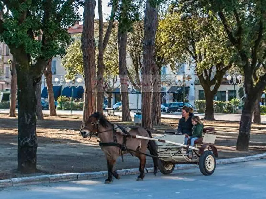 Immagine 13 di Villetta a schiera in vendita  a Forte Dei Marmi