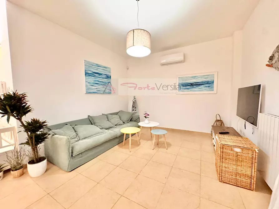 Immagine 3 di Villa in vendita  a Forte Dei Marmi
