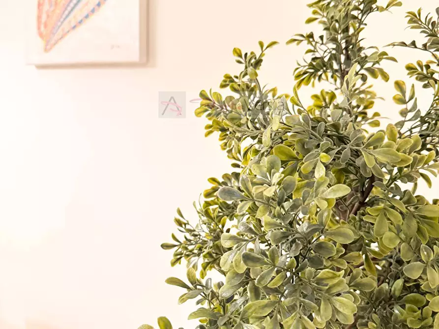 Immagine 18 di Villa in vendita  a Forte Dei Marmi