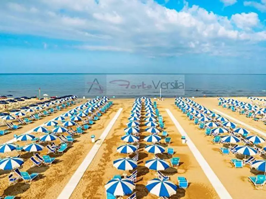 Immagine 28 di Villetta a schiera in vendita  a Forte Dei Marmi