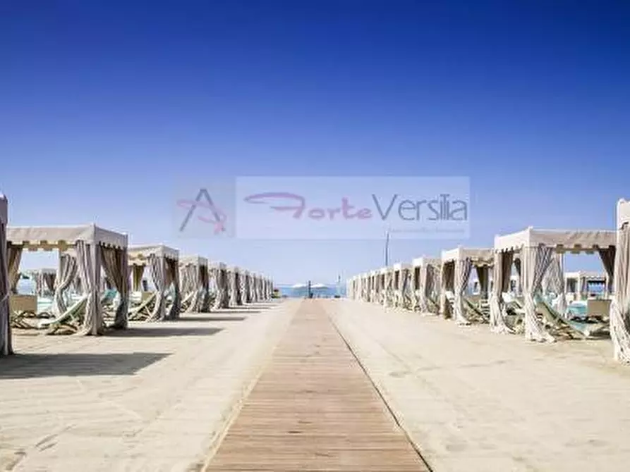 Immagine 32 di Villa in vendita  a Pietrasanta