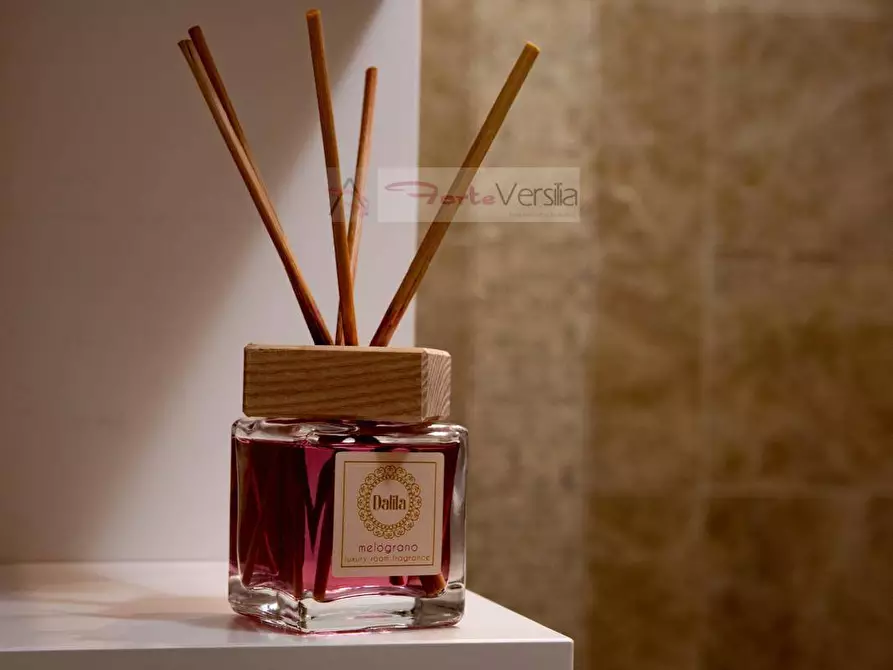 Immagine 13 di Appartamento in vendita  a Viareggio