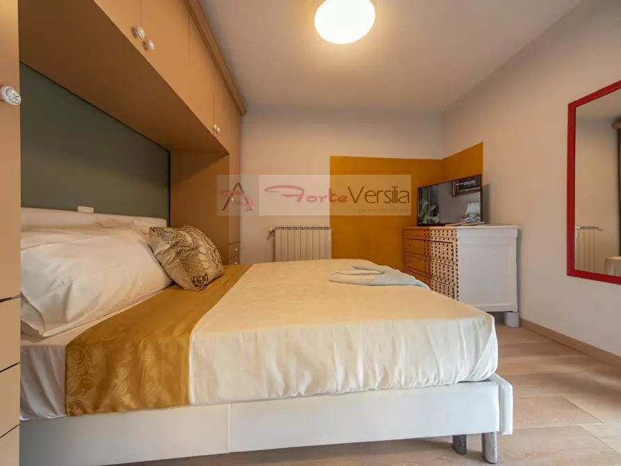 Immagine 45 di Appartamento in vendita  a Viareggio