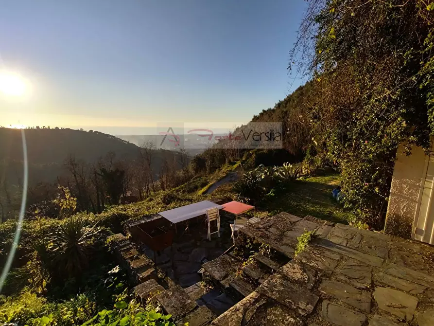 Immagine 4 di Casa semindipendente in vendita  a Pietrasanta