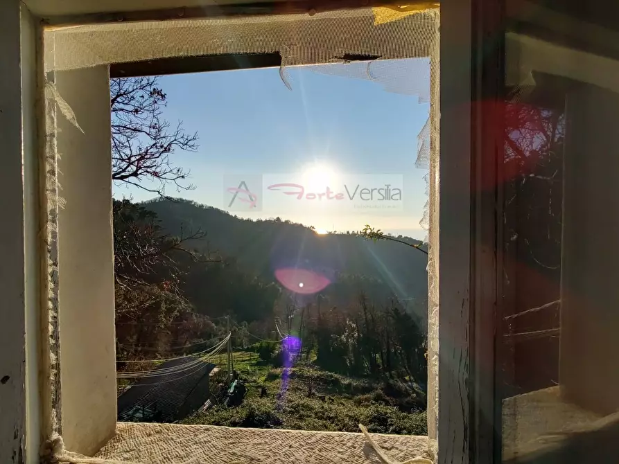 Immagine 29 di Casa semindipendente in vendita  a Pietrasanta