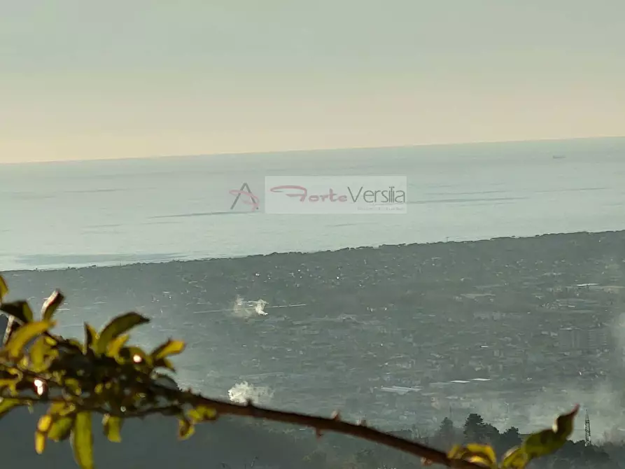 Immagine 6 di Casa semindipendente in vendita  a Pietrasanta