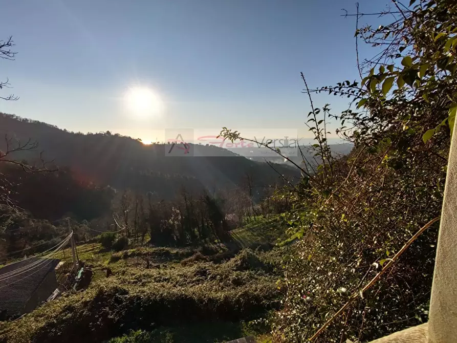 Immagine 5 di Casa semindipendente in vendita  a Pietrasanta