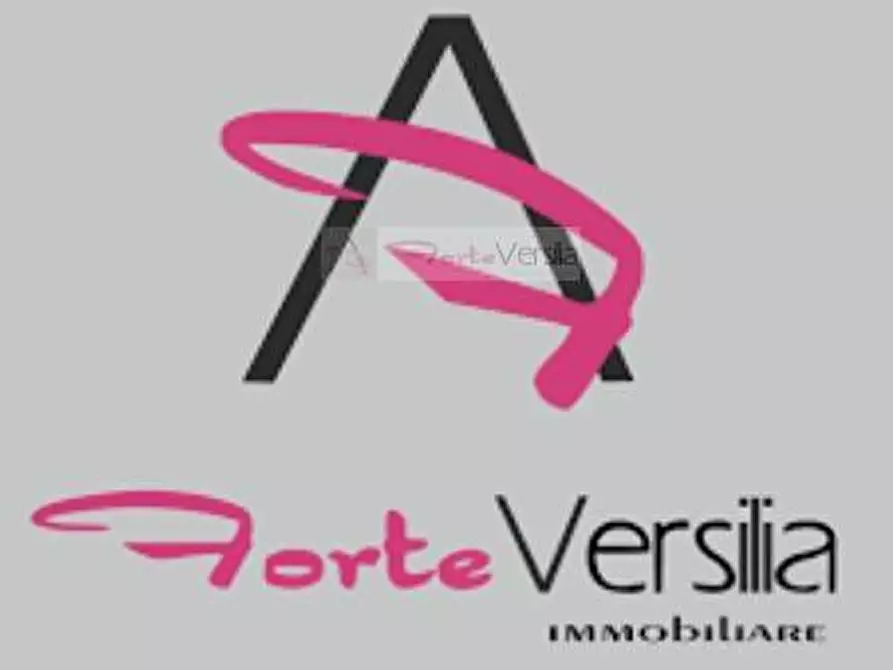 Immagine 7 di Appartamento in vendita  a Viareggio