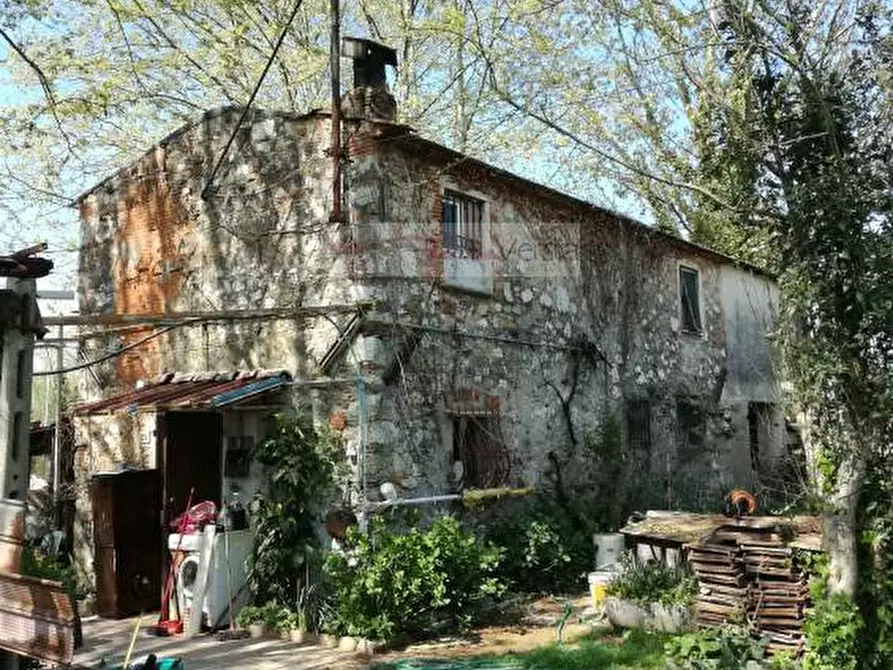 Immagine 2 di Terreno residenziale in vendita  a Pietrasanta