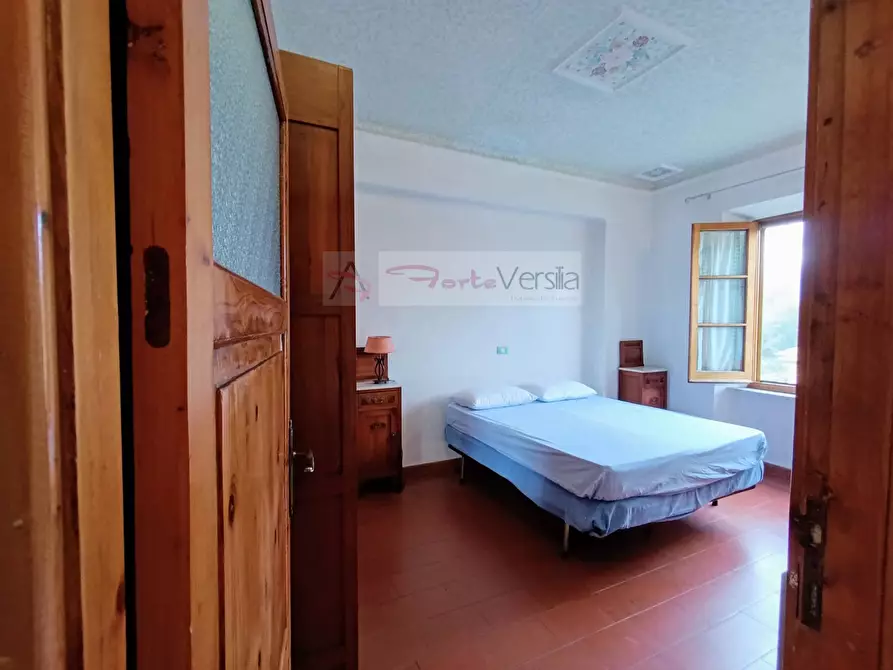 Immagine 23 di Appartamento in vendita  a Forte Dei Marmi