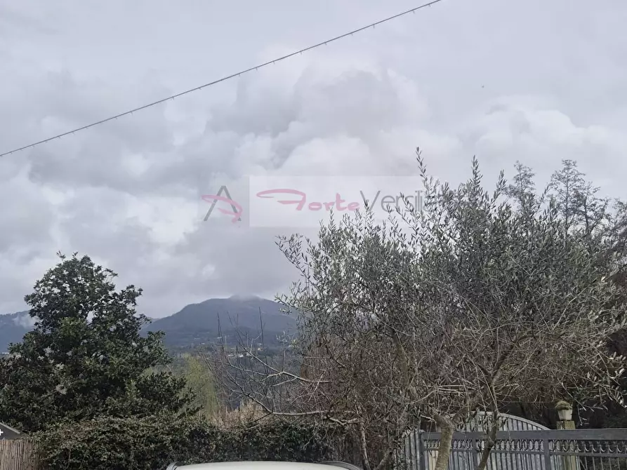 Immagine 43 di Villa in vendita  a Montignoso