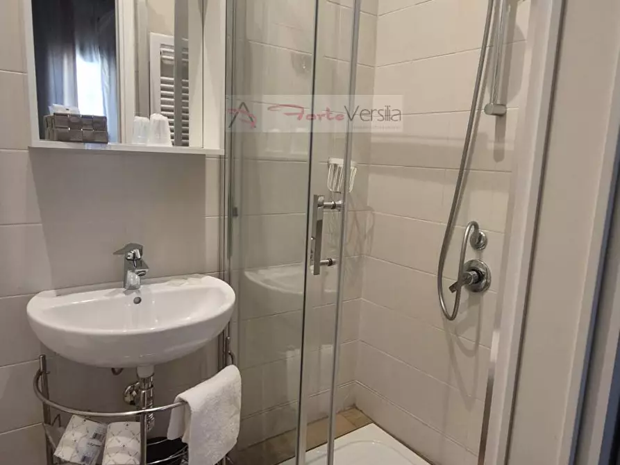 Immagine 45 di Albergo/B&B/Residence in vendita  a Camaiore