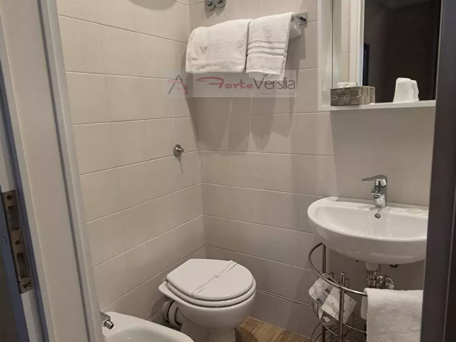 Immagine 46 di Albergo/B&B/Residence in vendita  a Camaiore