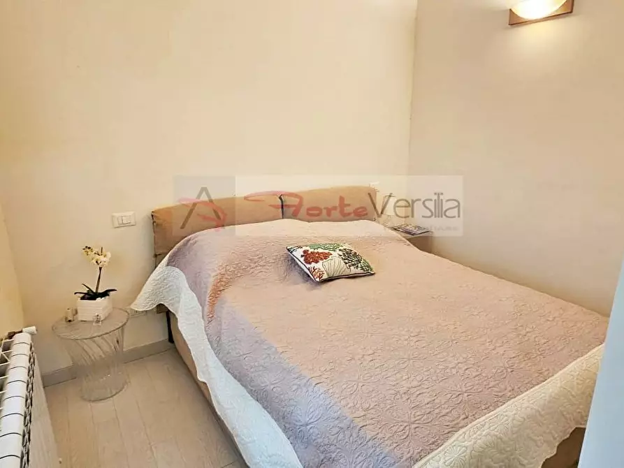 Immagine 6 di Casa semindipendente in affitto  a Forte Dei Marmi