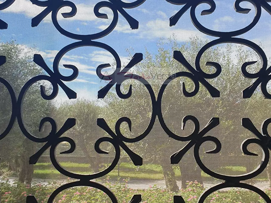 Immagine 22 di Casa indipendente in affitto  a Forte Dei Marmi