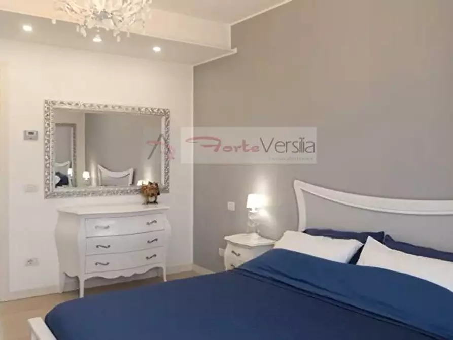 Immagine 27 di Villa in vendita  a Forte Dei Marmi