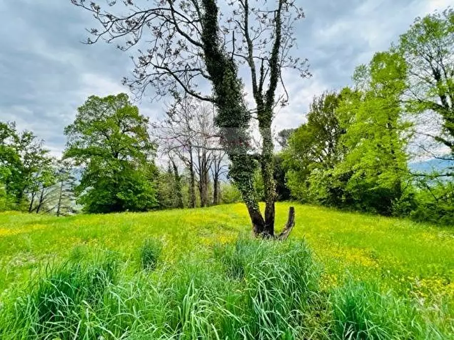 Immagine 10 di Villa in vendita  a Massa