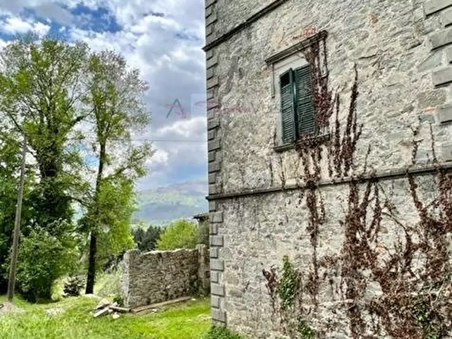 Immagine 4 di Villa in vendita  a Massa