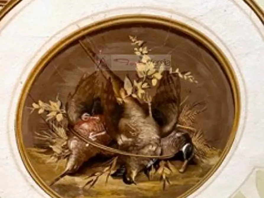 Immagine 10 di Villa in vendita  a Castiglione Di Garfagnana