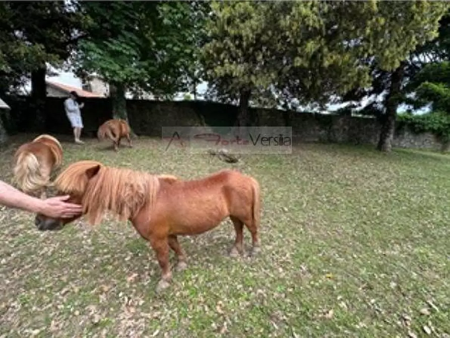 Immagine 15 di Villa in vendita  a Castiglione Di Garfagnana