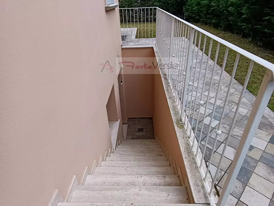 Immagine 4 di Villa in vendita  a Pietrasanta