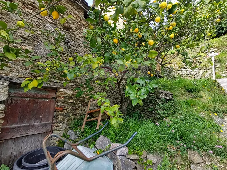 Immagine 9 di Casa semindipendente in vendita  a Pietrasanta