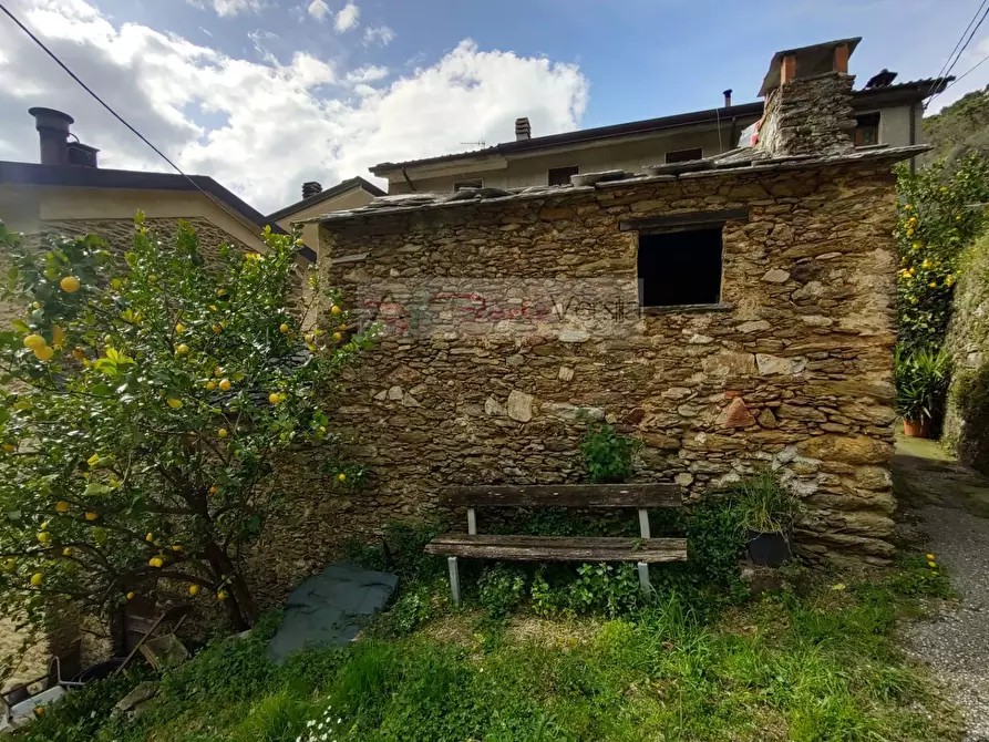 Immagine 8 di Casa semindipendente in vendita  a Pietrasanta